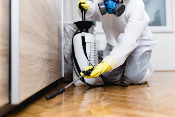 Best Best Pest Control Companies  in Atwater, CA