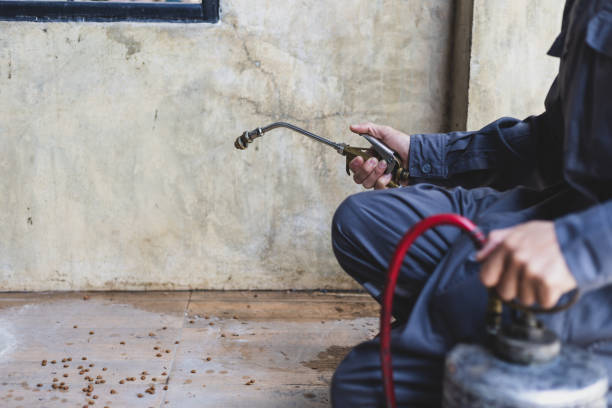 Best Affordable Pest Control Services  in Atwater, CA