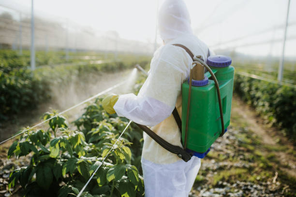Best Affordable Pest Control Services  in Atwater, CA